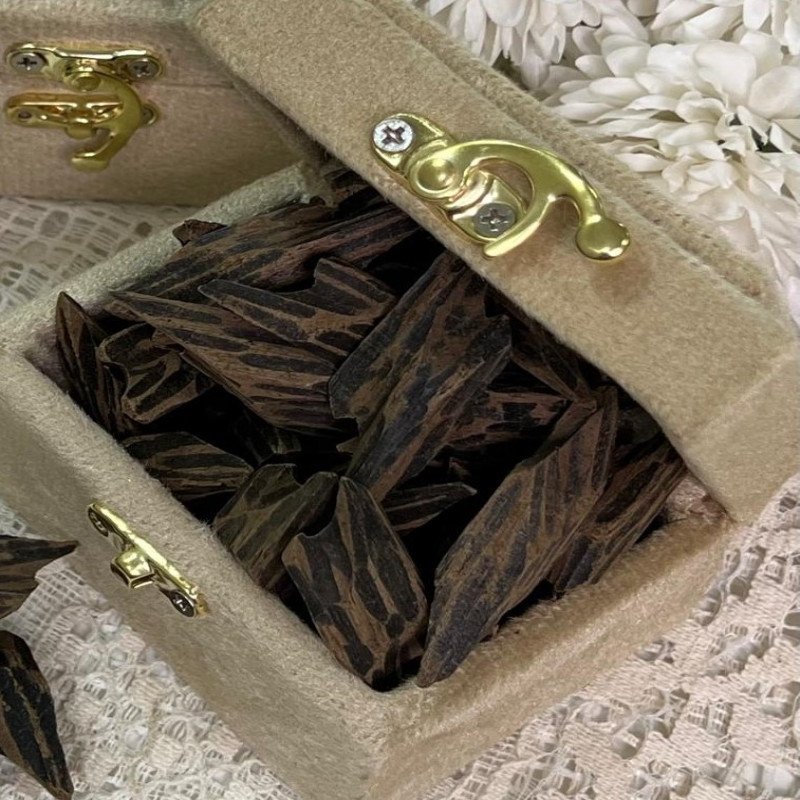 عود تايقر درجة أولى