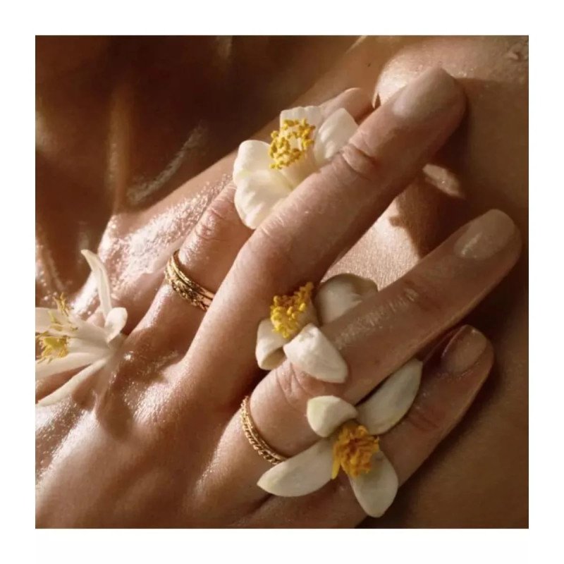 ايف سان لوران ليبري لي نو او دو بارفيوم دي بيو (نسائي) 90مل - الصورة 3